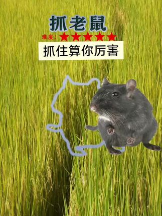我抓了两天都没抓住,家人们也试试手气吧。