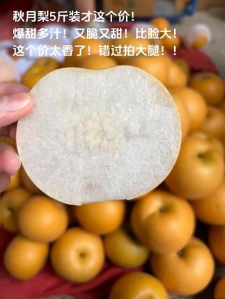 秋月梨5斤装才这价!💥一口爆汁的甜蜜暴击!脆嫩如初雪,甜度直达心头~比脸还大的满足感,这个价真的亏本赚吆喝!手慢无!#秋月梨#新鲜应季水果 #脆甜多汁#快来一起尝个鲜 #超便宜超划算