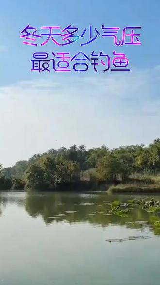 冬天多少气压最适合钓鱼#钓鱼知识 #调漂技巧