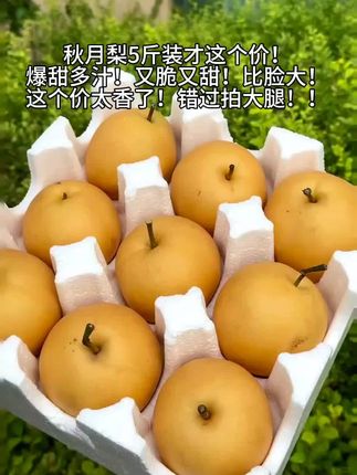 秋月梨5斤装才这价!💥一口爆汁的甜蜜暴击!脆嫩如初雪,甜度直达心头~比脸还大的满足感,这个价真的亏本赚吆喝!手慢无!#秋月梨#新鲜应季水果 #脆甜多汁#快来一起尝个鲜 #超便宜超划算