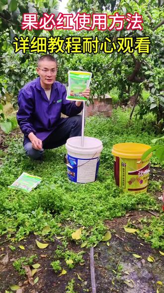 膨果控稍促花早熟套餐详细使用步骤,视频比较长耐心观看#柑橘膨果 #柑橘控稍 #爱媛早熟