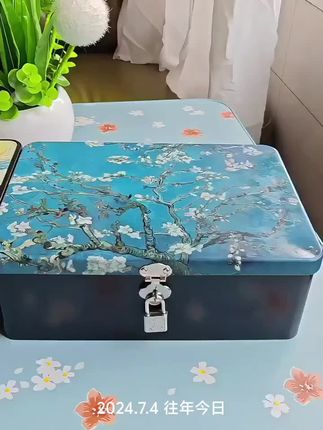 #带锁收纳盒 #带锁首饰盒 #密码箱 #铁艺首饰盒 #铁艺收纳盒