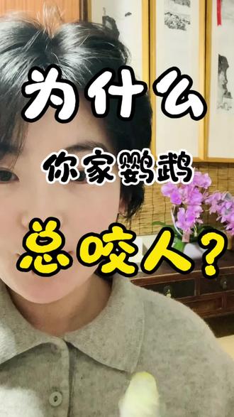 鹦鹉总咬你?不是凶,是这5个原因,教你一招解决#鹦鹉日常 #手养鹦鹉 #鹦鹉咬人