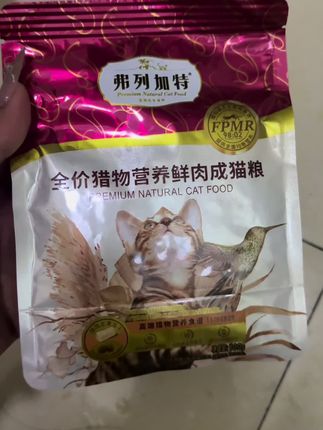 #萌宠 #弗列加特鲜肉粮 #小奶猫