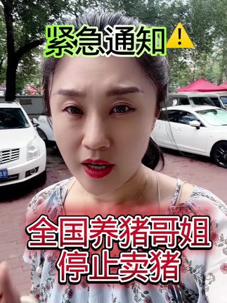 #三农养殖 #养猪人 #养猪人不容易