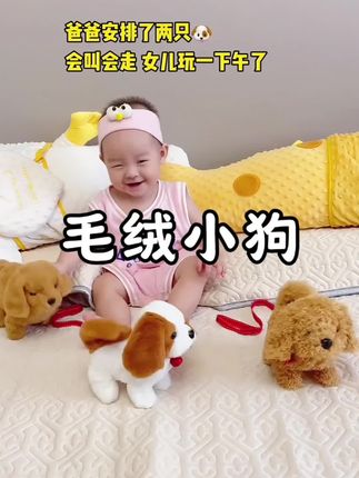 爸爸给安排的小狗狗,也太好玩了吧,会叫会跳还会摇尾巴,关键还不掉掉毛,宝宝好喜欢#人类幼崽#哄娃神器 #儿童玩具