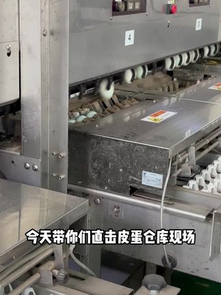 今天带大家直击皮蛋包装现场#鄱湖鸭舍 #皮蛋 #源头工厂