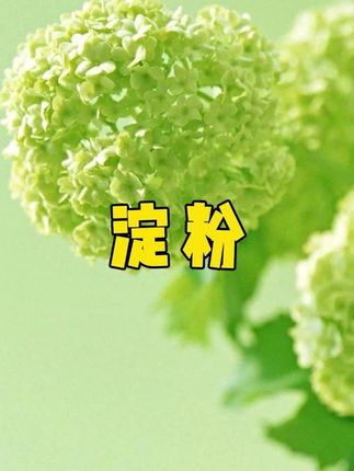 纯玉米淀粉,一包斤装,到手三大包做饭必备#玉米淀粉