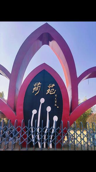 沣东荷苑隐藏玩法!树上探险太刺激 #西安周边一日游 #团购 #游乐场 #暖冬