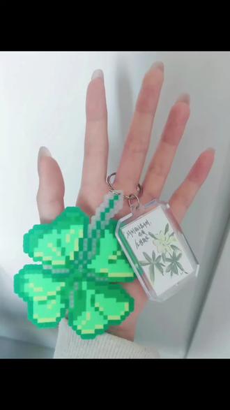 願得人心 白首不分離🍀#拼豆 #四叶草