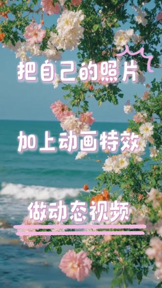 用自己的照片做动态视频,一分钟学会。