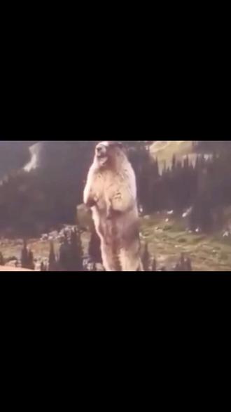 2026年考研出分时间,原来学长早就告诉我们了 #考研 #玄学 #神级预测