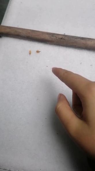 为了让张真源唱完才这么长
#雪地写字 #张真源#下雪了好冷 @抖音小助手 @抖音创作灵感 @抖音创作小助手