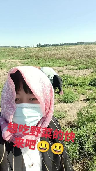 又出来挖野菜了,太多了,想吃的快来吧。