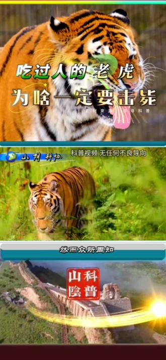 吃过人的老虎为什么一定要击毙#科普 #动物 #老虎