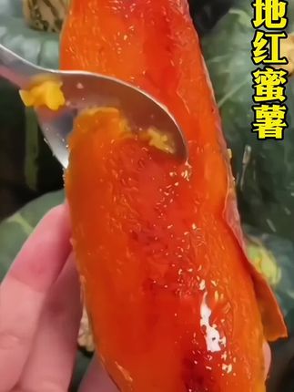 #红薯 #粗粮 #超便宜超划算 #软糯香甜 #快来一起尝个鲜 @DOU+上热门