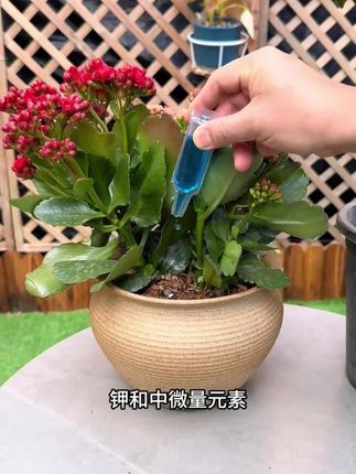夸孩子也是一门学问要用对方式,不然只能适得其反。#亲子教育 #育儿 #家庭教育 #父母课堂 #干货分享