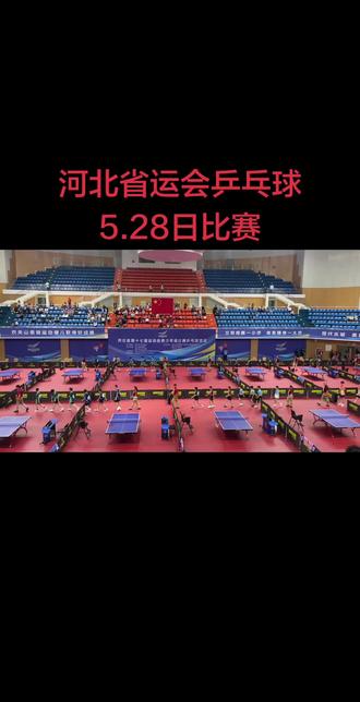 河北省运会 #乒乓球#省运会#河北省#乒乓球比赛