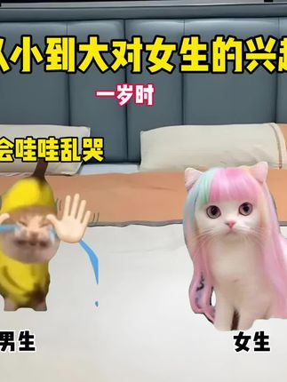 男生从小到大对女生的兴趣程度#猫meme #搞笑 #男生 #内容过于真实