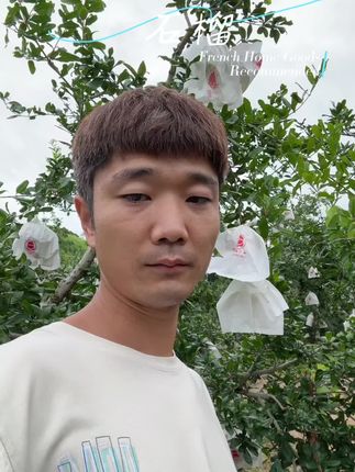 #石榴 #新鲜应季水果 #现摘现发新鲜到家 #原产地直发 2025年头茬突尼斯软籽石榴,每一颗都是新鲜采摘的,喜欢吃的石榴的哥哥姐姐一定不要错过,