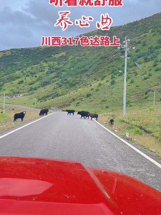 纯音乐,听着就舒服#纯音乐 ##娥嫚 #最美的风景在路上 #大山深处自然美