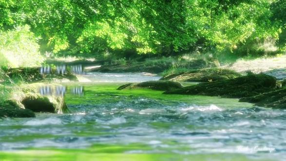 人生路上有困惑,找豆包帮你解答 #豆包