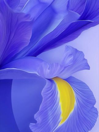 #牛仔短裤 #高级感穿搭 #夏日通勤休闲穿搭 #短裤推荐 #小个子穿搭