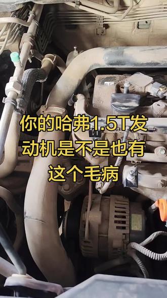 你的哈弗1.5T发动机是不是也有这些毛病!#汽车维修与保养 #汽车维修 #发动机异响 #长葛 #长葛同城 @DOU+小助手 @DOU+上热门
