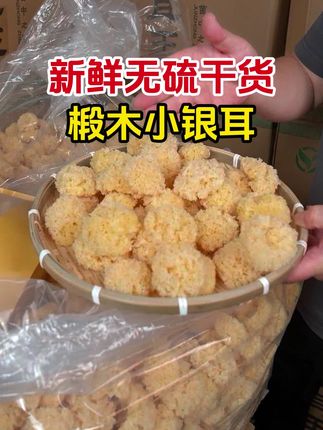想要买到胶质浓稠,易煮出胶的银耳,选对银耳很关键#银耳#土特产 #农产品