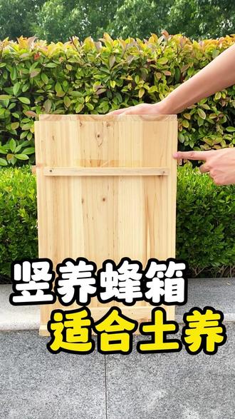 买竖养蜂箱到底有什么好处呢?#竖养蜂箱 #三峡蜂箱 #土养蜂箱