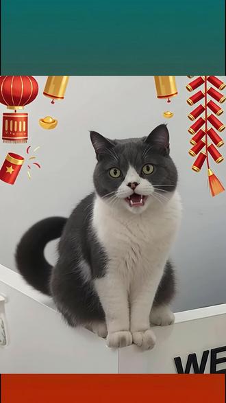 过年别再发千篇一律的群发短信!一句话生成初一到初八全套海报!#阿里云AI实训营 #阿里云百炼 #Agent创客 #手把手学AI #马年新春