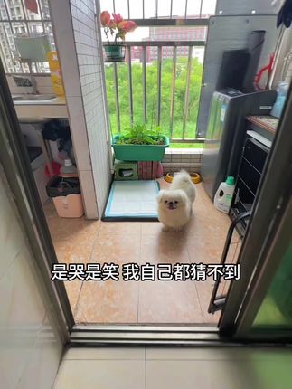 豆包,从此我们相依为命,互相作伴吧!😂😂