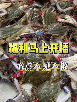 #海鲜#梭子蟹#螃蟹