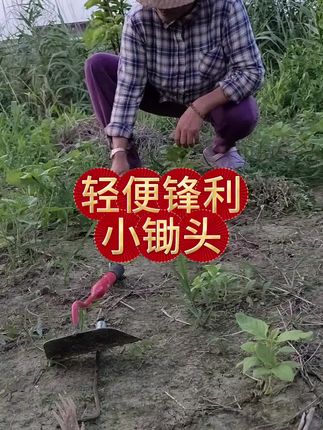 #上热门  轻便锋利, 种菜养花必不可少的小锄头,不管大草小草都能轻松搞定!#小锄头#手握空心小锄头