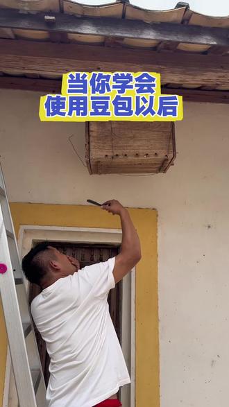阿丽学会使用豆包之后#豆包 #豆包胡言乱语 #大致坡羊羊 #正国鱼煲火锅餐厅