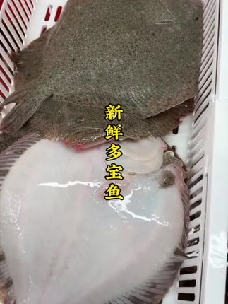 #多宝鱼 新鲜去内脏多宝鱼5条 7-9两/条 5条 连云港发货#舌尖上的味道 #鱼的花式做法 #强烈推荐 #快来一起尝个鲜
