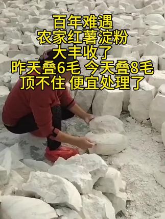 红薯淀粉#红薯淀粉 两斤红薯淀粉#两斤红薯淀粉#传统手工 #强烈推荐 #土特产