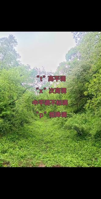 彝文拼音 来了,家人们,你们一直期待的彝文拼音拼法来了#彝文 #巫哈彝文 #彝韵阁 #彝族