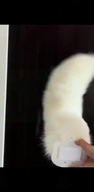 电动尾巴声控狐狸尾巴会动尾巴毛绒可动尾巴道具cos电动兽装磁吸