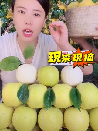 2025砀山青皮皇冠梨5/9斤整箱包邮当季头茬新鲜梨子水果