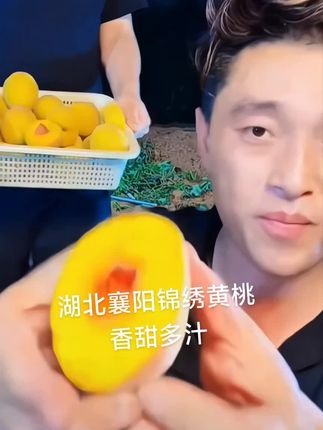 #强烈推荐 #好货推荐 #看过来 湖北襄阳锦绣黄桃🍑