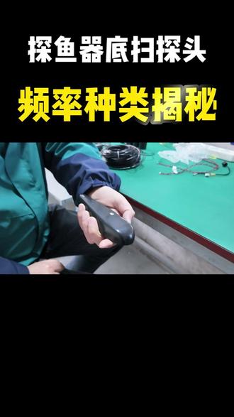 探鱼器底扫探头,频率种类揭秘 #探鱼器