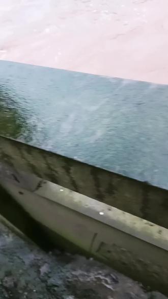 涨水了,估计鱼儿都被冲跑了