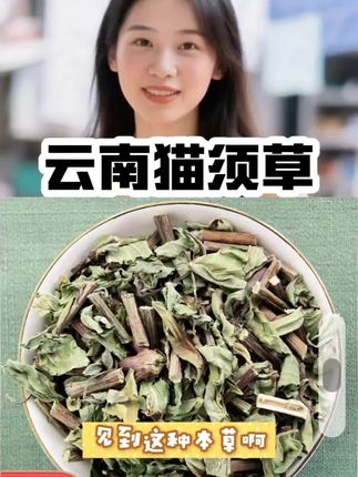 #视频同款商品 #猫须草茶 #好物分享