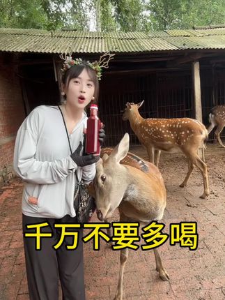 千万不要多喝 #鹿产品 #鹿茸 #鹿茸血酒 #梅花鹿养殖