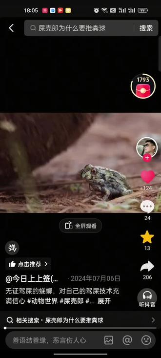 西布林班大蜣螂介绍