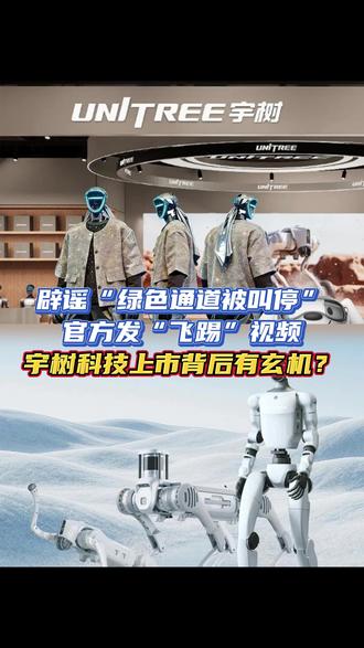 宇树科技上市背后有什么玄机?#人形机器人 #具身智能 #IPO #赛道