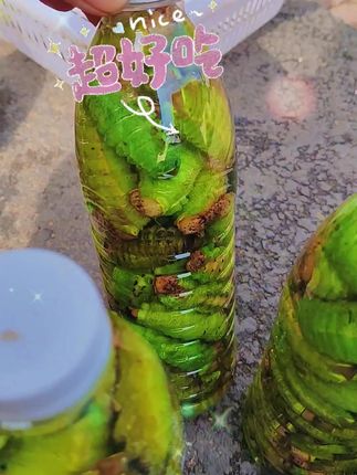 #大自然的馈赠是一种免费的享受 #东北大青蚕 #低脂高蛋白美食