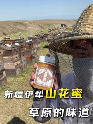 还不知道怎么选蜂蜜吗?还吃假蜜勾兑蜜浓缩蜜吗?看看我们伊犁的山花蜂蜜,纯净自然蜜源,草原上的多种花种#蜂蜜 #新疆 #土蜂蜜 #新疆特产