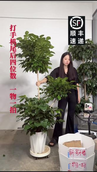 遇到API异常别慌!这样处理超简单